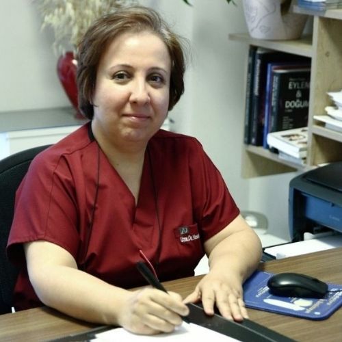 op-dr-yasemin-ilkit